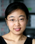 Picture of Xiaoling Zhang